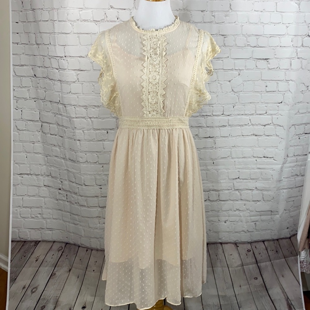 Metisu Swiss dot lace dress